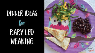 Dinner Ideas for Baby Led Weaning | New Ways Nutrition