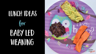 Lunch Ideas for Baby Led Weaning | New Ways Nutrition