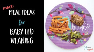 More Meal Ideas for Baby Led Weaning | New Ways Nutrition