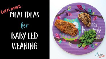 Even More Meal Ideas for Baby Led Weaning | New Ways Nutrition