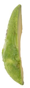 cut foods -0676
