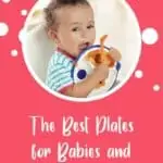 The Best Plates for Babies and Toddlers | New Ways Nutrition