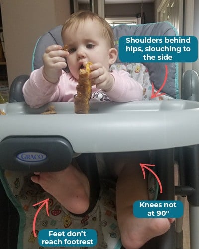 graco mealtime sara nielson