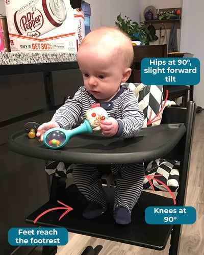 stokke erica fitch