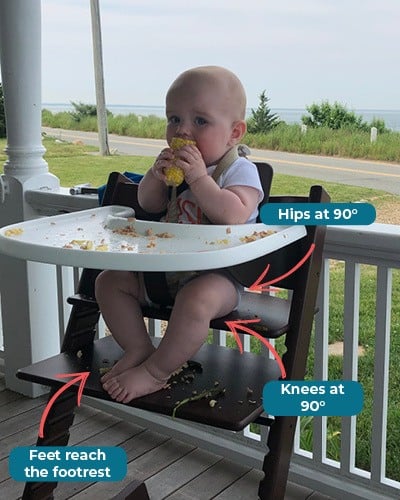 stokke lilly schott