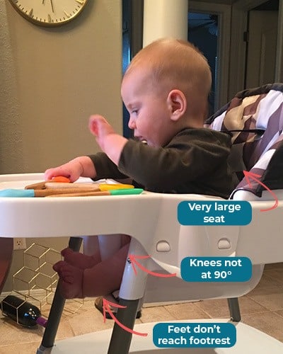 zoe high chair abby ferreira
