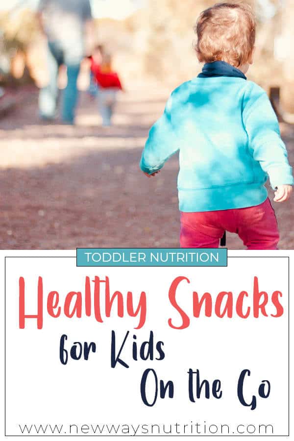 Healthy Snacks for Kids on the Go || New Ways Nutrition Healthy Snacks for Kids on the Go || New Ways Nutrition