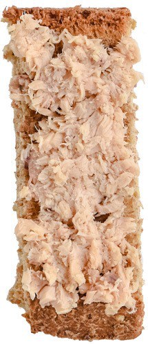 salmon-0370