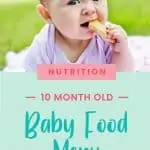 How to Feed a 10 Month Old || New Ways Nutrition