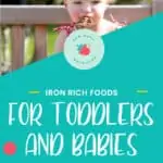 Iron-Rich Foods for Babies | New Ways Nutrition