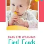 Baby Led Weaning: First Foods || New Ways Nutrition