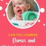 Can You Combine Purees and Baby Led Weaning? | New Ways Nutrition