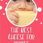 The Best Cheese for Babies pin image