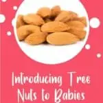 Tree Nuts for Babiespin image