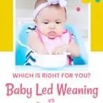 baby eating from bowl pin image