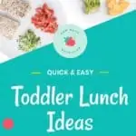 Two toddler lunch ideas on pin image
