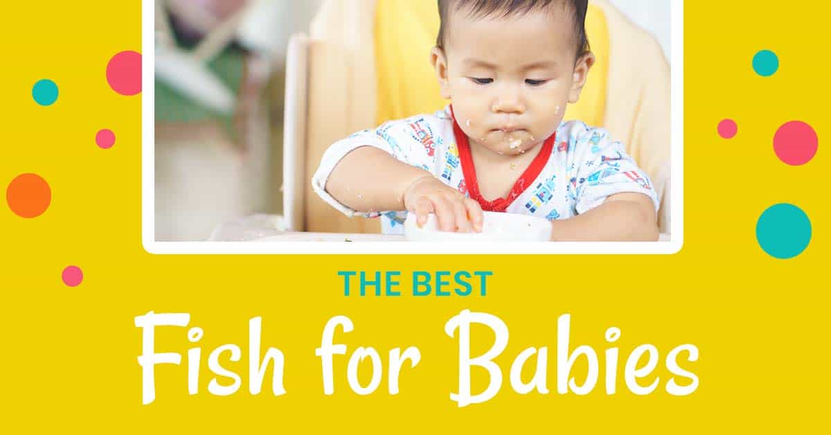 The Best Fish for Babies Baby & Toddler Nutrition