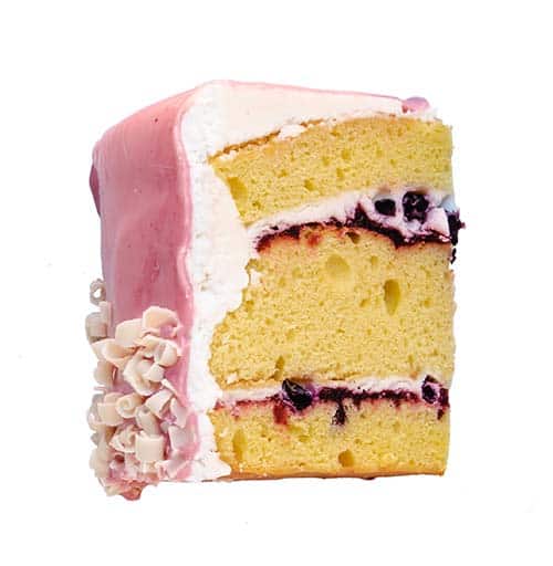 slice of cake on a white background